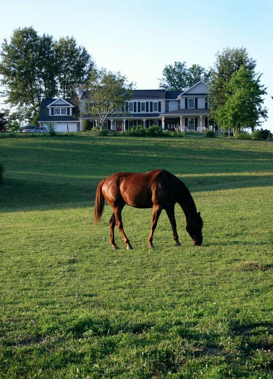 The Inn At Westwynd Farm Hershey Bekvämligheter bild