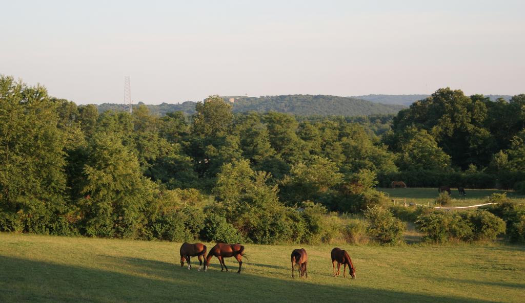 The Inn At Westwynd Farm Hershey Exteriör bild